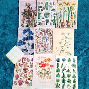 DIY Wall Collage Kit with double sided Wall adhesives DIY Dorm Room Wall Decor